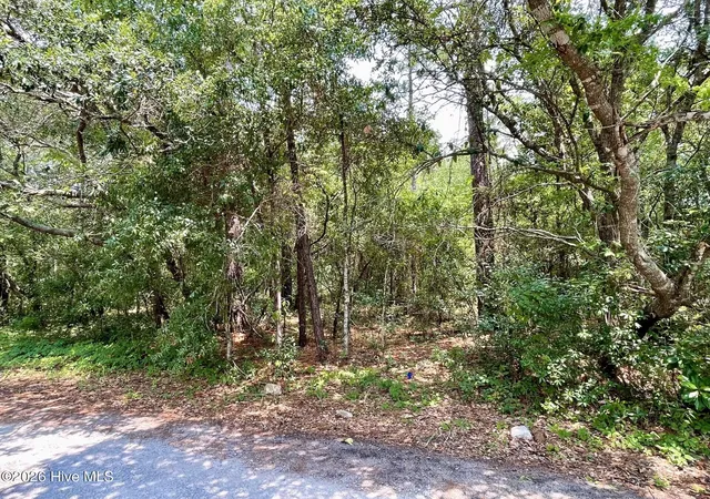 Photo 2 of Land for sale at 308 Alexander Pl, Wilmington, NC 28411 | MLS# 100593530 | Listing updated on 2026-08-18