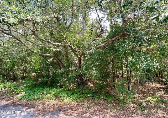 Photo 3 of Land for sale at 308 Alexander Pl, Wilmington, NC 28411 | MLS# 100593530 | Listing updated on 2026-08-18