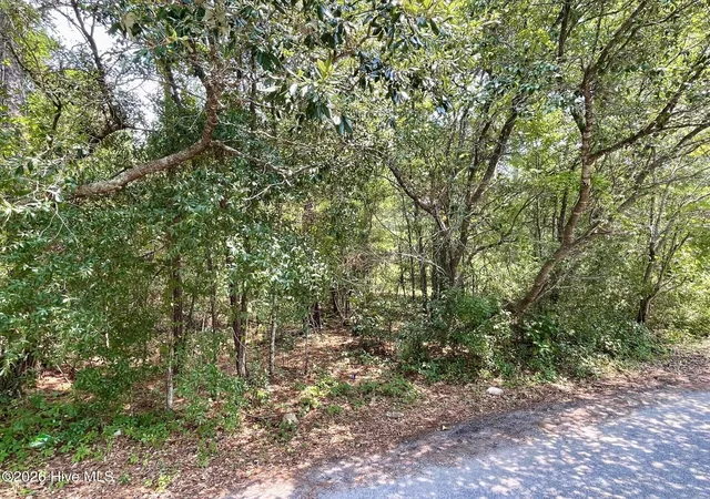 Photo 3 of Land for sale at 308 Alexander Pl, Wilmington, NC 28411 | MLS# 100593530 | Listing updated on 2026-10-02