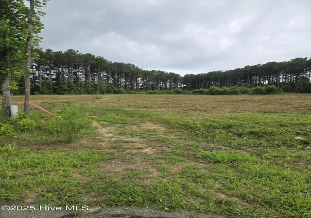 Homes for sale in Bailey, NC | Lot 51 Roseheath Court, Bailey, NC 27807 | MLS# 100518351