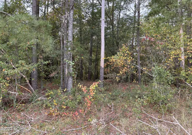 Photo 1 of Land for sale at Tract 1 Matilda Dr, Lumberton, NC 28360 | MLS# 100411996 | Listing updated on 2026-03-02