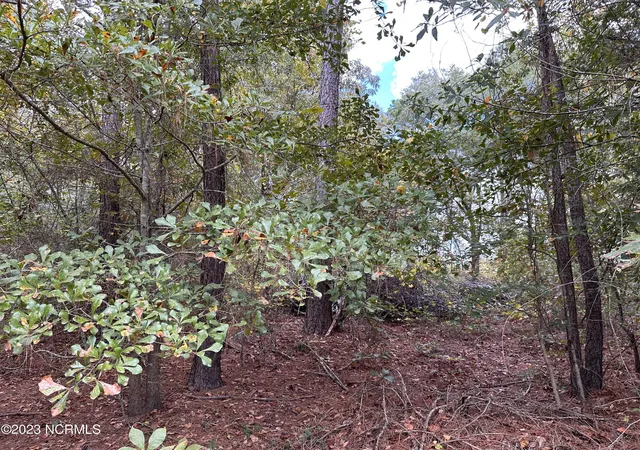 Photo 2 of Land for sale at Tract 1 Matilda Dr, Lumberton, NC 28360 | MLS# 100411996 | Listing updated on 2026-03-02