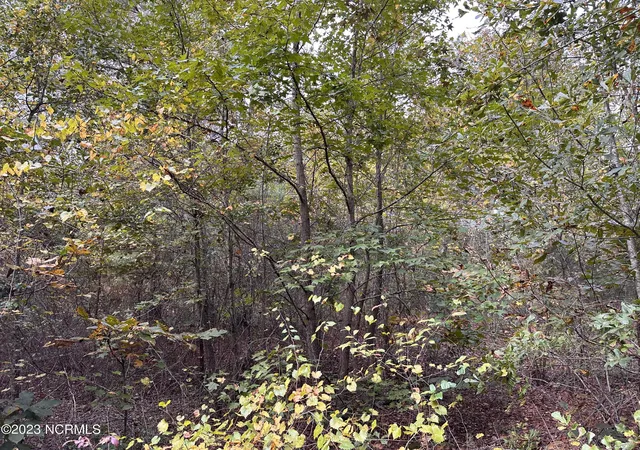 Photo 3 of Land for sale at Tract 1 Matilda Dr, Lumberton, NC 28360 | MLS# 100411996 | Listing updated on 2026-03-02