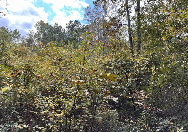 Photo 3 of Land for sale at Tract 1 Matilda Dr, Lumberton, NC 28360 | MLS# 100411996 | Listing updated on 2026-03-02