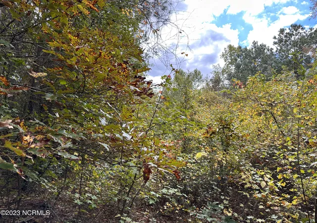 Photo 4 of Land for sale at Tract 1 Matilda Dr, Lumberton, NC 28360 | MLS# 100411996 | Listing updated on 2026-03-02