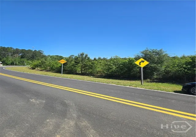 3rd image of 00 US 280 Hwy, Pembroke, GA 31321 | MLS# SA355434