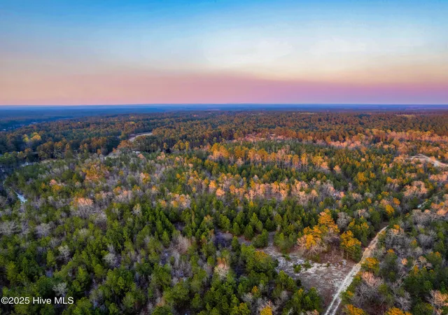 Photo 3 of Land for sale at Hwy 15/501, Wagram, NC 28396 | MLS# 100536204 | Listing updated on 2026-03-02