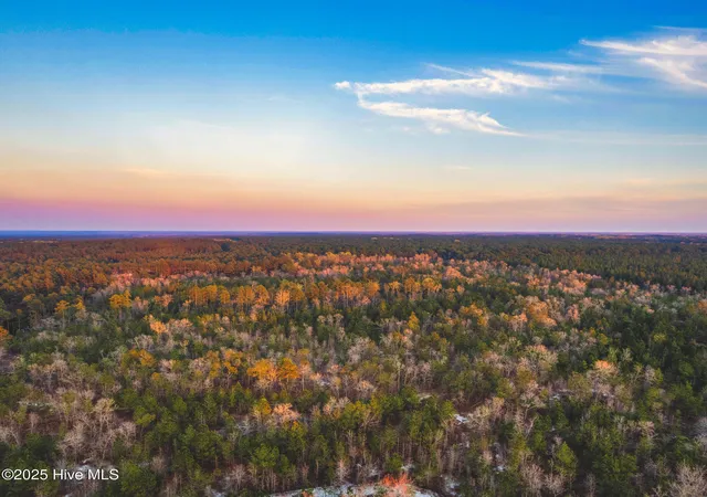 Photo 5 of Land for sale at Hwy 15/501, Wagram, NC 28396 | MLS# 100536204 | Listing updated on 2026-03-02