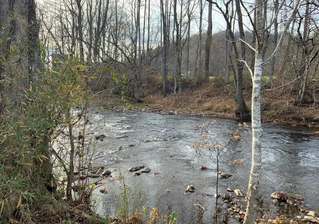 1st image of 00 Main & Whitaker, Andrews, NC 28901 | MLS# 98543901