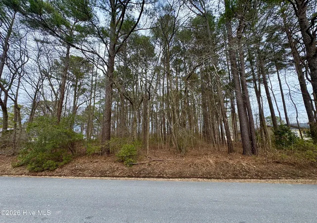 Land for sale at 0 Lincoln Dr, Kenly, NC 27542 | MLS# 100591585