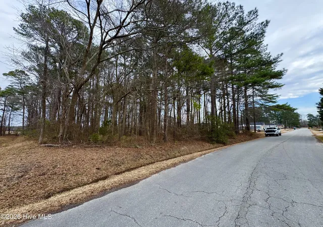 Photo 3 of Land for sale at 0 Lincoln Dr, Kenly, NC 27542 | MLS# 100591585 | Listing updated on 2026-09-09