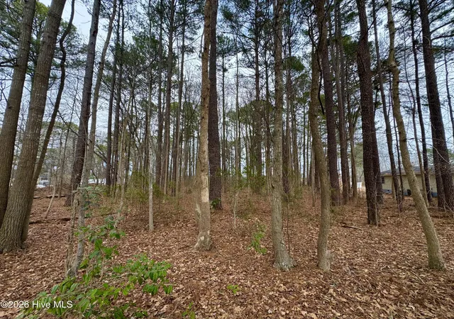 Photo 3 of Land for sale at 0 Lincoln Dr, Kenly, NC 27542 | MLS# 100591585 | Listing updated on 2026-09-09