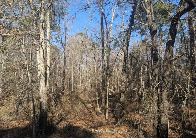 2nd image of (Undisclosed), Appling, GA 30802 | MLS# 98223886