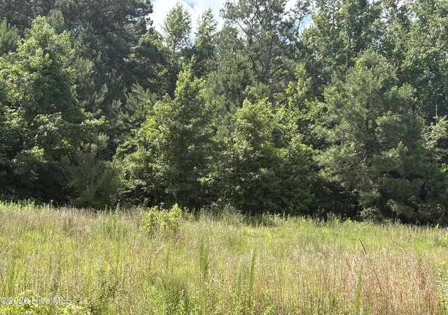 Homes for sale in Whiteville, NC | 1419 Mable Spaulding Rd, Whiteville, NC 28472 | MLS# 100584508