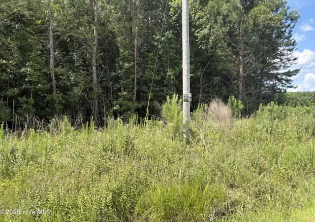 Homes for sale in Whiteville, NC | 1419 Mable Spaulding Rd, Whiteville, NC 28472 | MLS# 100584508
