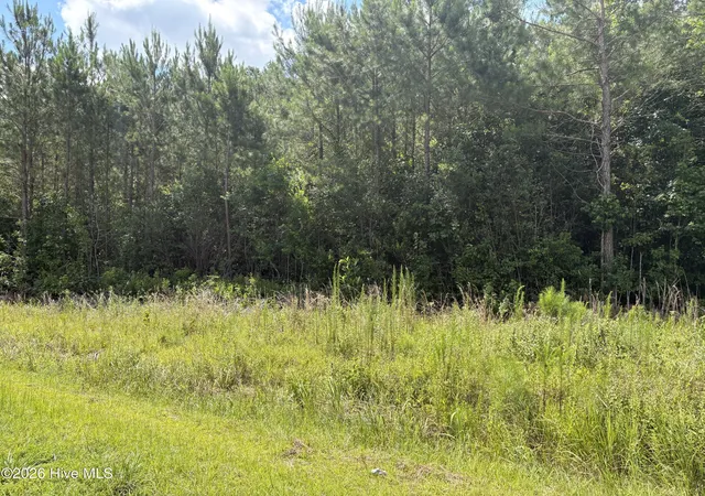 Homes for sale in Whiteville, NC | 1419 Mable Spaulding Rd, Whiteville, NC 28472 | MLS# 100584508