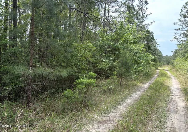 3rd image of L 113 Chimney Swift Ln Se, Southport, NC 28461 | MLS# 100573402