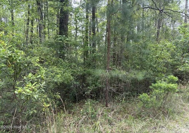 4th image of L 113 Chimney Swift Ln Se, Southport, NC 28461 | MLS# 100573402