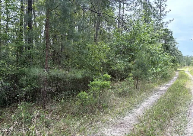 5th image of L 113 Chimney Swift Ln Se, Southport, NC 28461 | MLS# 100573402