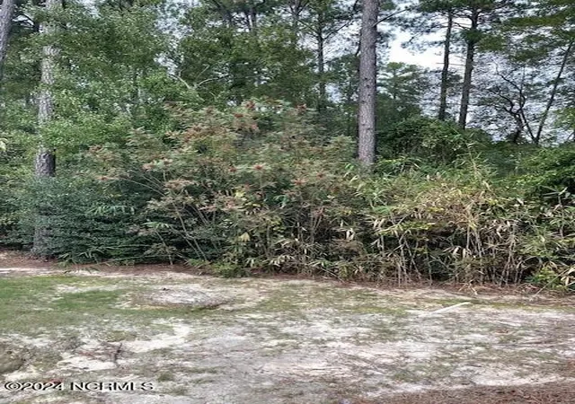 Homes for sale in Pinehurst, NC | 5 Raintree Ct, Pinehurst, NC 28374 | MLS# 100542981