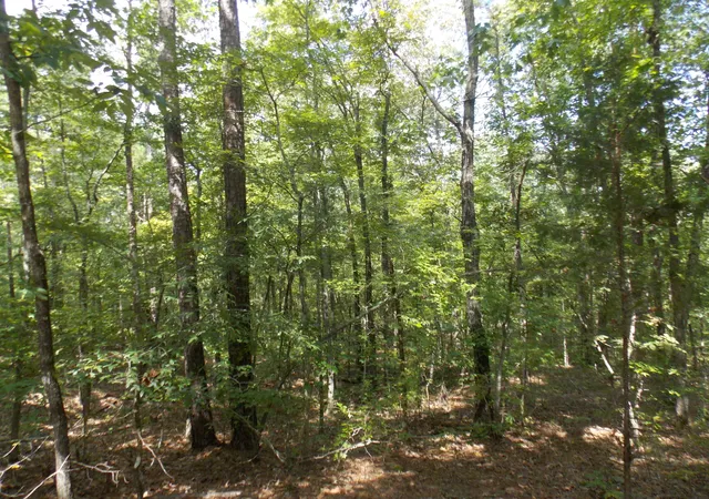 1st image of 11 Doe Run, Lincolnton, GA 30817 | MLS# 98212493
