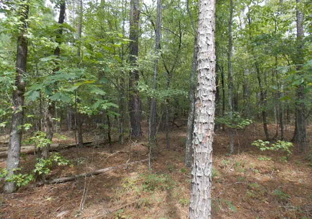 2nd image of 11 Doe Run, Lincolnton, GA 30817 | MLS# 98212493