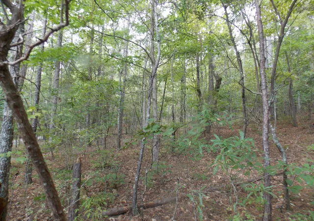 3rd image of 11 Doe Run, Lincolnton, GA 30817 | MLS# 98212493