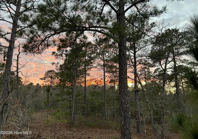 Photo 2 of Land for sale at 000 Sand Ridge Rd, Hubert, NC 28539 | MLS# 100593774 | Listing updated on 2026-09-01
