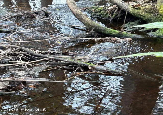 Photo 3 of Land for sale at 000 Sand Ridge Rd, Hubert, NC 28539 | MLS# 100593774 | Listing updated on 2026-09-01