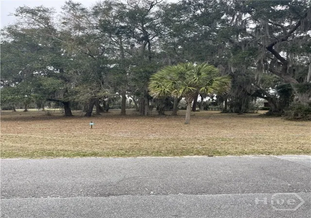 Photo 2 of Land for sale at Lot 16/17 Marshview Dr Ne, Townsend, GA 31331 | MLS# SA349231 | Listing updated on 2026-07-07