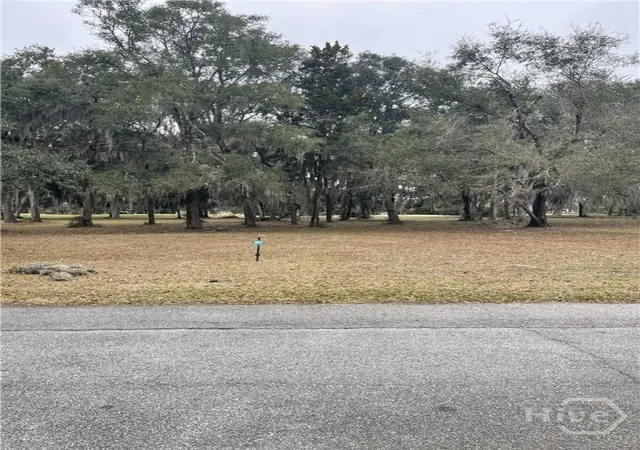 Photo 3 of Land for sale at Lot 16/17 Marshview Dr Ne, Townsend, GA 31331 | MLS# SA349231 | Listing updated on 2026-07-07