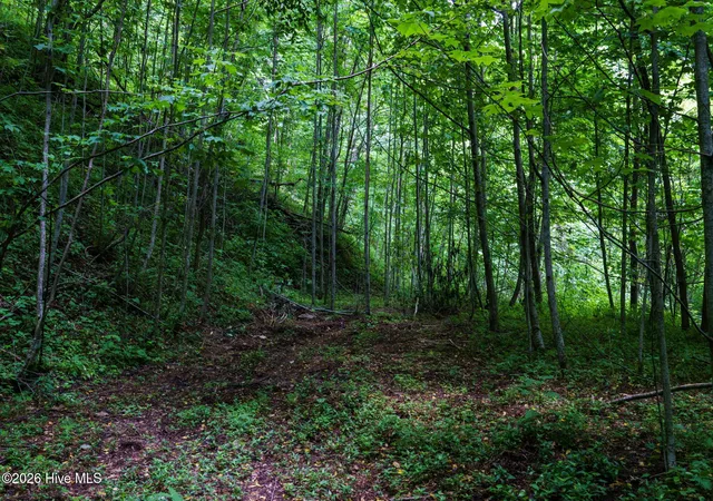 Homes for sale in Bryson City, NC | Lot Off Buck Naked Rd, Bryson City, NC 28713 | MLS# 98525221