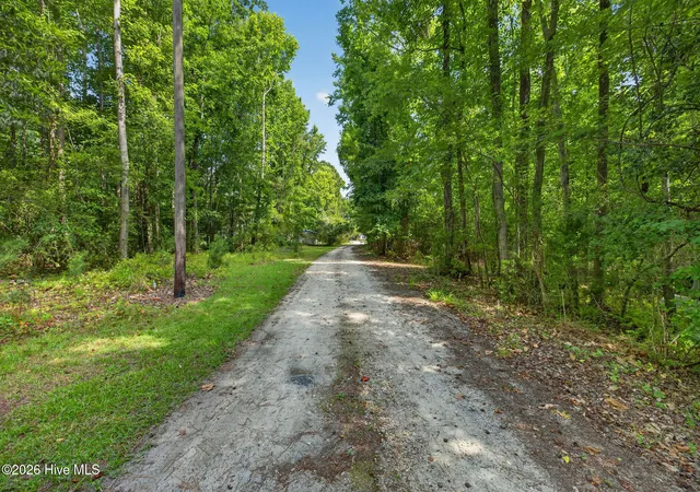 Photo 3 of Land for sale at 64 Acres Off Nc Hwy 210, Rocky Point, NC 28457 | MLS# 100587631 | Listing updated on 2026-09-10