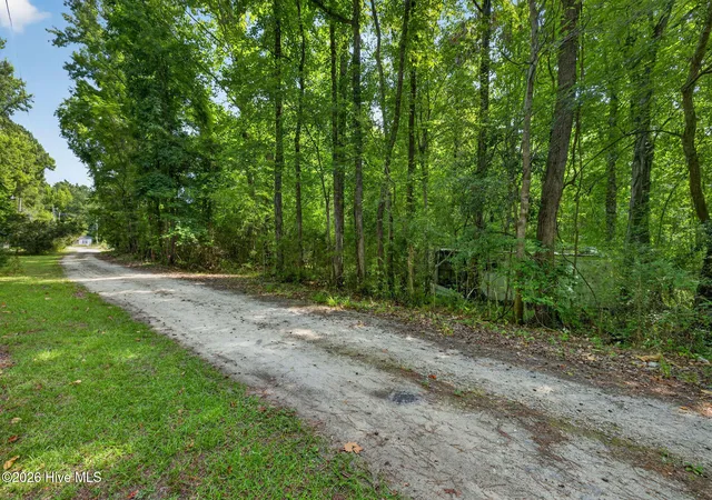 Photo 4 of Land for sale at 64 Acres Off Nc Hwy 210, Rocky Point, NC 28457 | MLS# 100587631 | Listing updated on 2026-09-10