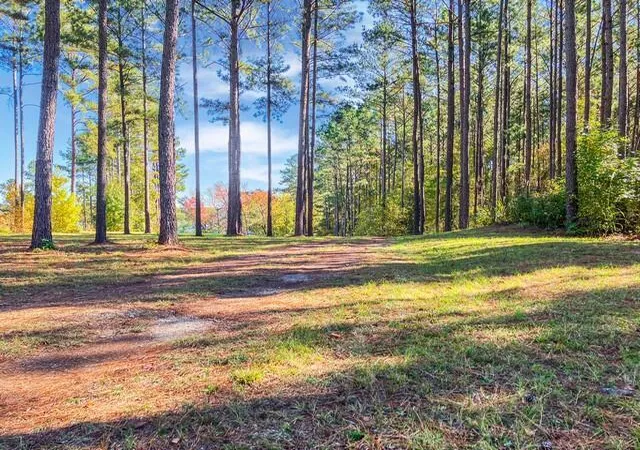 15th image of 18 S Pointe Cvs, Lincolnton, GA 30817 | MLS# 100587142