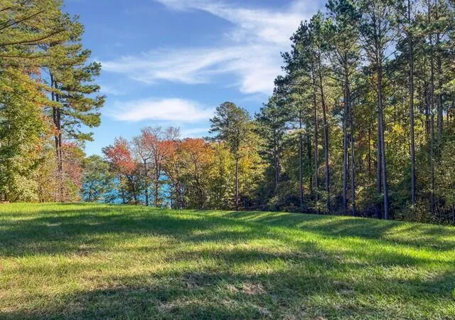 1st image of 18 S Pointe Cvs, Lincolnton, GA 30817 | MLS# 100587142