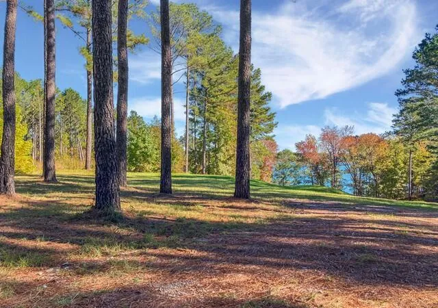 5th image of 18 S Pointe Cvs, Lincolnton, GA 30817 | MLS# 100587142