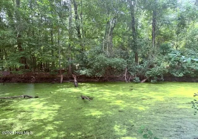 Homes for sale in Lake Waccamaw, NC | Lt 284 288 Near 250 Waccamaw Sh Road, Lake Waccamaw, NC 28450 | MLS# 100579876