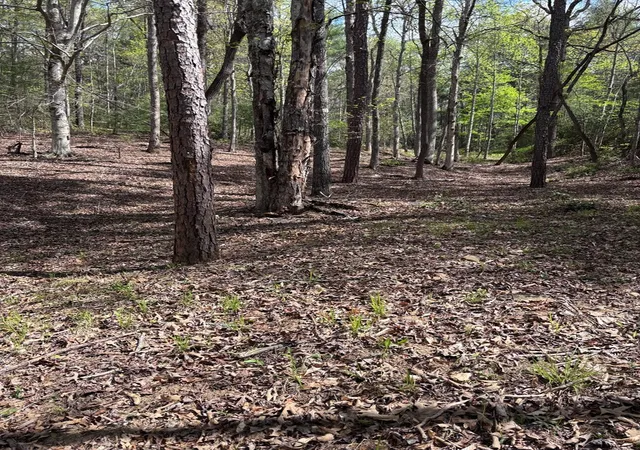 Photo 3 of Land for sale at 140 Hounds Run Ln, Murphy, NC 28906 | MLS# 98544433 | Listing updated on 2026-06-01