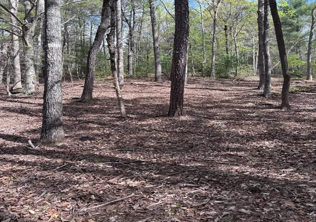 Photo 3 of Land for sale at 140 Hounds Run Ln, Murphy, NC 28906 | MLS# 98544433 | Listing updated on 2026-06-01