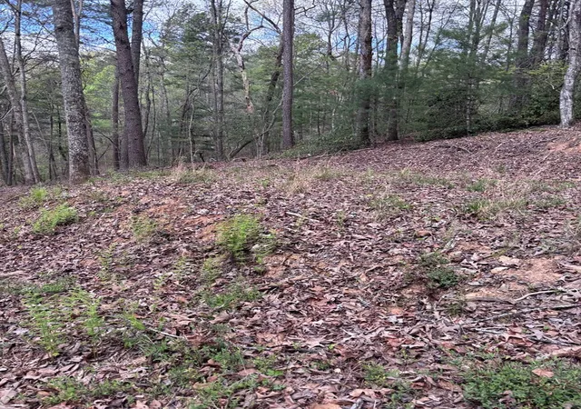 Photo 4 of Land for sale at 140 Hounds Run Ln, Murphy, NC 28906 | MLS# 98544433 | Listing updated on 2026-06-01