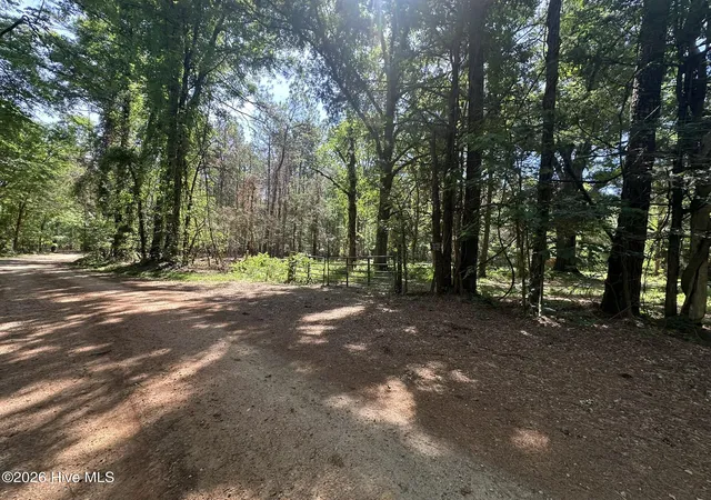 Homes for sale in Washington, GA | Lot 4 Saggus Rd, Washington, GA 30673 | MLS# 100573053
