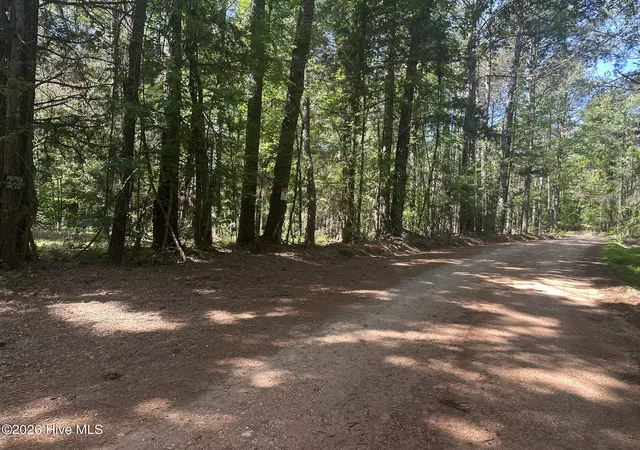 3rd image of Lot 4 Saggus Rd, Washington, GA 30673 | MLS# 100573053