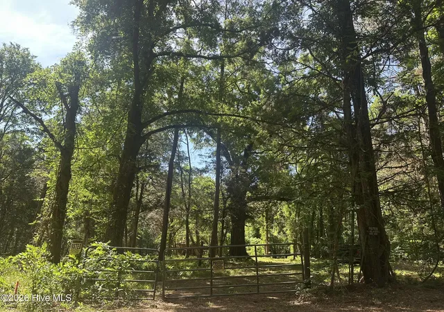 4th image of Lot 4 Saggus Rd, Washington, GA 30673 | MLS# 100573053