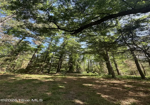 5th image of Lot 4 Saggus Rd, Washington, GA 30673 | MLS# 100573053