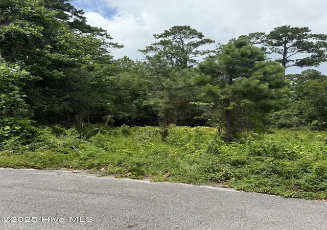 Photo 3 of Land for sale at 1015 Meridian Dr, Sneads Ferry, NC 28460 | MLS# 100517634 | Listing updated on 2026-08-03