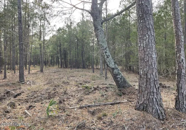 3rd image of 257 Garbacon Dr Dr, Beaufort, NC 28516 | MLS# 100505415