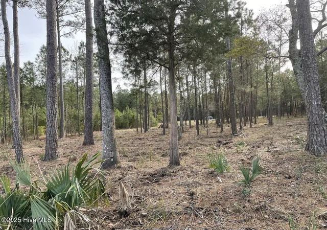 4th image of 257 Garbacon Dr Dr, Beaufort, NC 28516 | MLS# 100505415