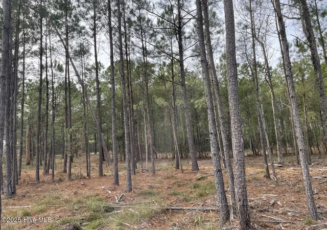 5th image of 257 Garbacon Dr Dr, Beaufort, NC 28516 | MLS# 100505415