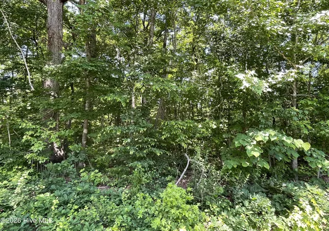 Photo 1 of Land for sale at Lot 1 Shady Ln, Burlington, NC 27217 | MLS# 100595343 | Listing updated on 2026-08-11